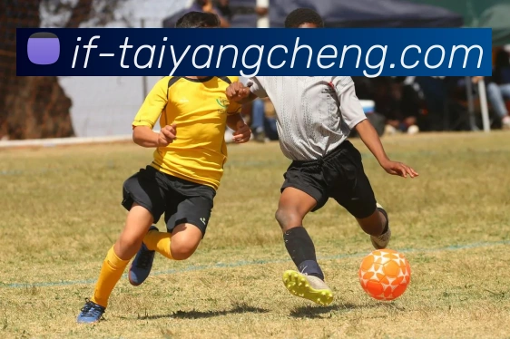 太阳城网站服务体系